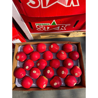 [ JENNY FRUIT ] GIAO NHANH HCM - TAÓ star của newzealand 1KG