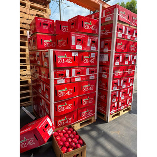 [ JENNY FRUIT ] GIAO NHANH HCM - TAÓ star của newzealand 1KG