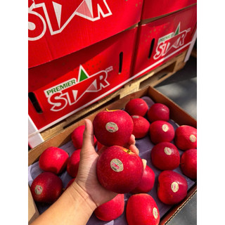 [ JENNY FRUIT ] GIAO NHANH HCM - TAÓ star của newzealand 1KG