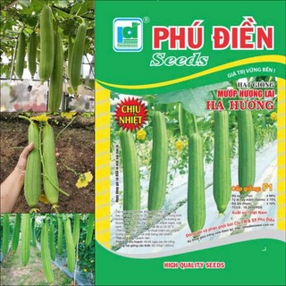 Hạt Giống Mướp Hương Cao Sản F1, Siêu Sai Quả