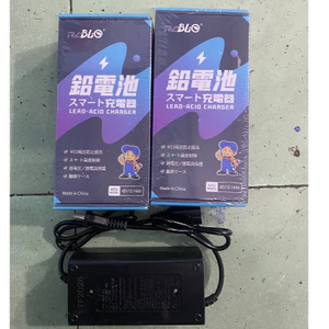 Bộ Sạc Xe Điện 48V12- 14Ah tự ngắt cao cấp