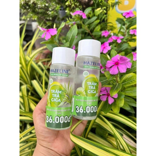 Combo 2 Chai Nước Tẩy trang Hazeline tràm trà cica 3in1 100ml-Hàng khuyến mãi