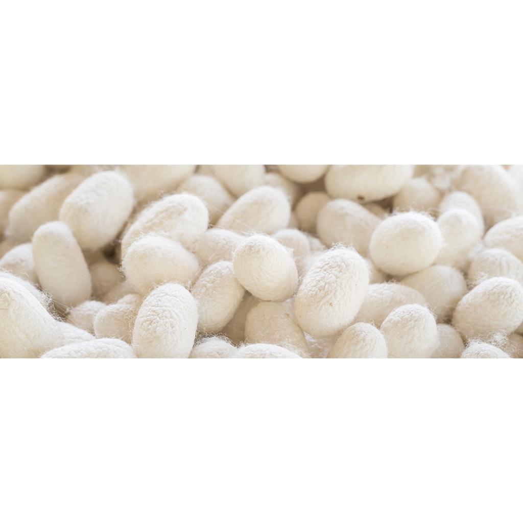 Sữa Tắm Chuyên Dụng Cho Thú Cưng Lông Trắng Prunus Ultra White Giảm Ố Vàng Lông  - Chai 500ml
