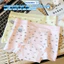 Quần Boxer Nữ Cạp Vừa Ôm Dáng Không Lộ Viền, Quần bảo Hộ Mặc Váy Chất Cotton Kháng Khuẩn ZANABRA L6005