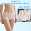 Quần Boxer Nữ Cạp Vừa Ôm Dáng Không Lộ Viền, Quần bảo Hộ Mặc Váy Chất Cotton Kháng Khuẩn ZANABRA L6005