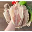500g Khô mực Thế Giới Hải Sản, khô mực size lớn, mực khô dày mình ngọt thịt được hút chân không