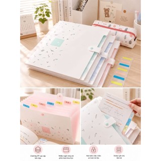 COMBO 2 Bìa Đựng Hồ Sơ A4 – Kèm Hình Dán Phân Mục – Folder Tài Liệu Tiện Lợi