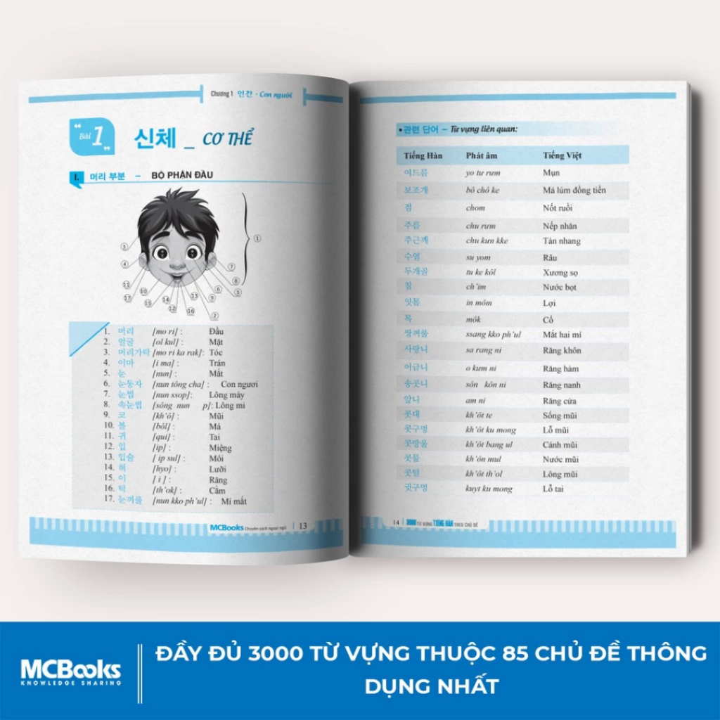 Lộ trình Tự học tiếng Hàn cho người mới bắt đầu: Tự học - Từ vựng - Giao Tiếp - Tập Viết