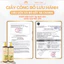 Dầu Gội Bồ Kết Sả Chanh Thảo Mộc giúp Giảm Rụng Tóc, Sạch Gàu – Thiên Y Linh