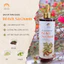 Dầu Gội Bồ Kết Sả Chanh Thảo Mộc giúp Giảm Rụng Tóc, Sạch Gàu – Thiên Y Linh