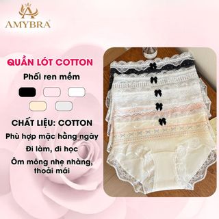 Quần Lót Nữ AMYBRA Cotton Họa Tiết Cổ Điển – Quần Chip Phối Ren Mềm Mại Thoáng Khí L6011