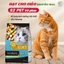 Hạt Dinh Dưỡng Cho Mèo S2 PET V2 Plus1kg - 70% Topping Thịt Sấy, Hỗ Trợ Tiêu Hóa, Giảm Búi Lông