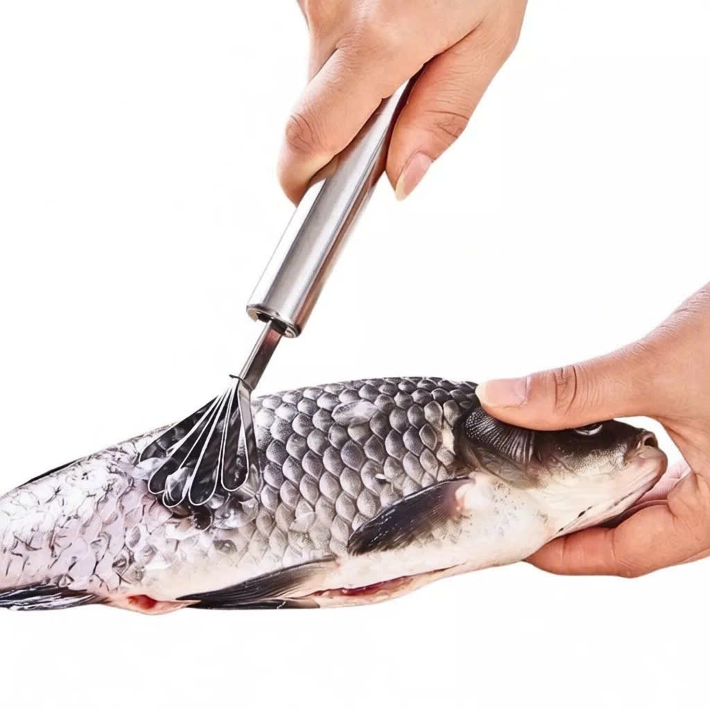 Dụng Cụ Nạo Dừa Sợi Đa Năng Bằng Thép Không Gỉ