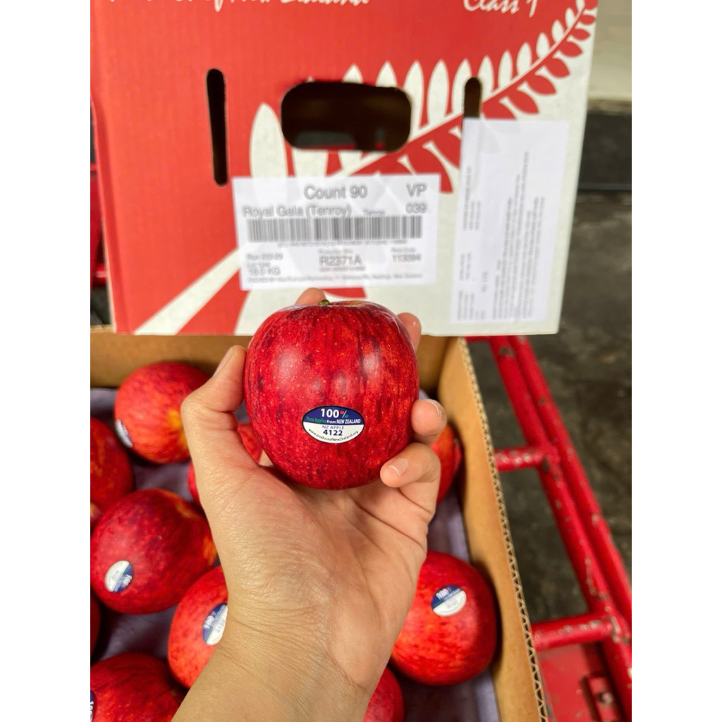 ( JENNY FRUIT ) Táo gala newzealand ngọt 1kg