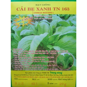 Hạt Giống Cải Bẹ Xanh 20gr, Rau Ăn Lá Trang Nông TN 163, Hạt Nảy Mầm Nhanh, Mạnh