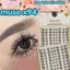 MUSE X94-MI RỜI, MI CỤM, SỢI MI MỎNG, TỰ NHIÊN CÂN MỌI LAYOUT--LeeVelvetLashes
