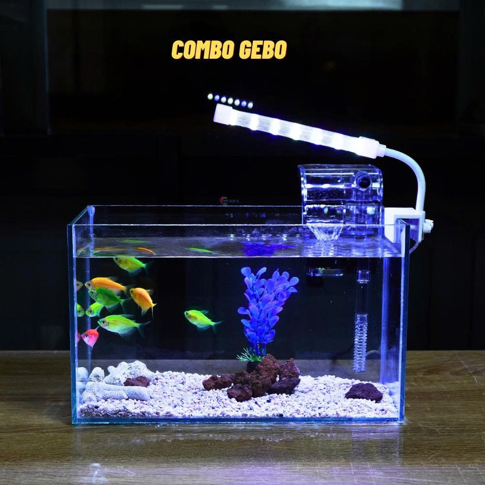 Bể cá mini để bàn COMBO giá rẻ đầy đủ phụ kiện