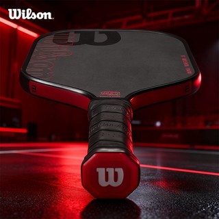 Wilson Blaze Tour 16 Vợt Pickleball WR157711U2