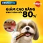 Pedigree Dentastix Bánh xương cho chó trung – 7 thanh, 14 thanh