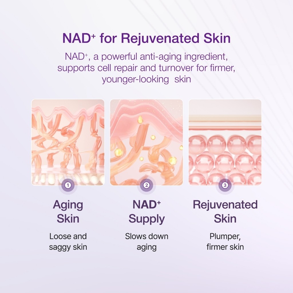 numbuzin No.9+ Tinh chất nâng cơ NAD+ BIO 30ml/No.9 NAD+ PDRN Glow Boosting Toner 150ml