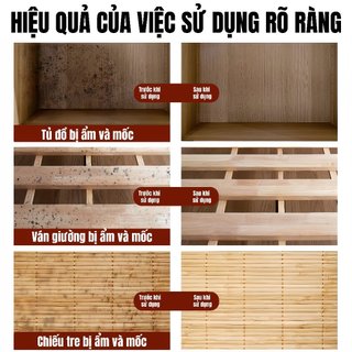 Dung Dịch Tẩy Nấm Mốc Siêu Sạch Đồ Gỗ 500ml, Đồ Nội Thất, Tủ Quần Áo Cao Cấp