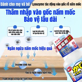 Dung Dịch Tẩy Nấm Mốc Siêu Sạch Đồ Gỗ 500ml, Đồ Nội Thất, Tủ Quần Áo Cao Cấp