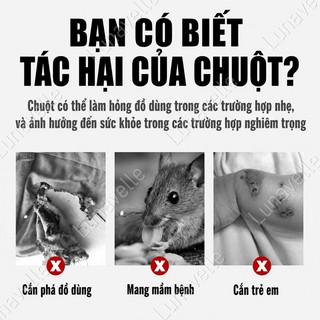 Máy đuổi chuột thông minh máy đuổi Gián Muỗi chuột bằng sóng siêu âm bỏ bọ muỗi gián chuột diệt côn trùng