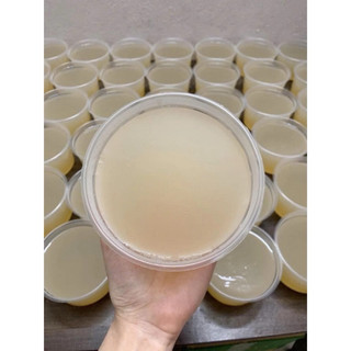 1KG RONG XU XOA đảo Lý Sơn (Rong đông)  -  Rong khô hoàn toàn Tự Nhiên - Chuyên dùng nấu thạch rau câu