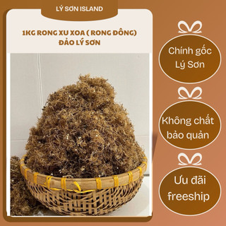 1KG RONG XU XOA đảo Lý Sơn (Rong đông)  -  Rong khô hoàn toàn Tự Nhiên - Chuyên dùng nấu thạch rau câu