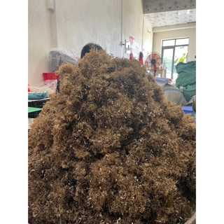 1KG RONG XU XOA đảo Lý Sơn (Rong đông)  -  Rong khô hoàn toàn Tự Nhiên - Chuyên dùng nấu thạch rau câu
