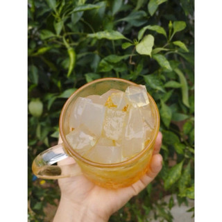 1KG RONG XU XOA đảo Lý Sơn (Rong đông)  -  Rong khô hoàn toàn Tự Nhiên - Chuyên dùng nấu thạch rau câu