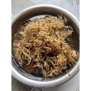 1KG RONG XU XOA đảo Lý Sơn (Rong đông)  -  Rong khô hoàn toàn Tự Nhiên - Chuyên dùng nấu thạch rau câu