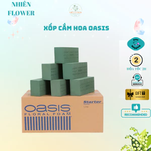 ComBo 3-5-10 Viên Xốp OASIS Loại Tôt Chuyên Dụng Dùng Cắm Hoa Tươi, Hoa Khô,Decor Cắm Hoa Nghệ Thuật