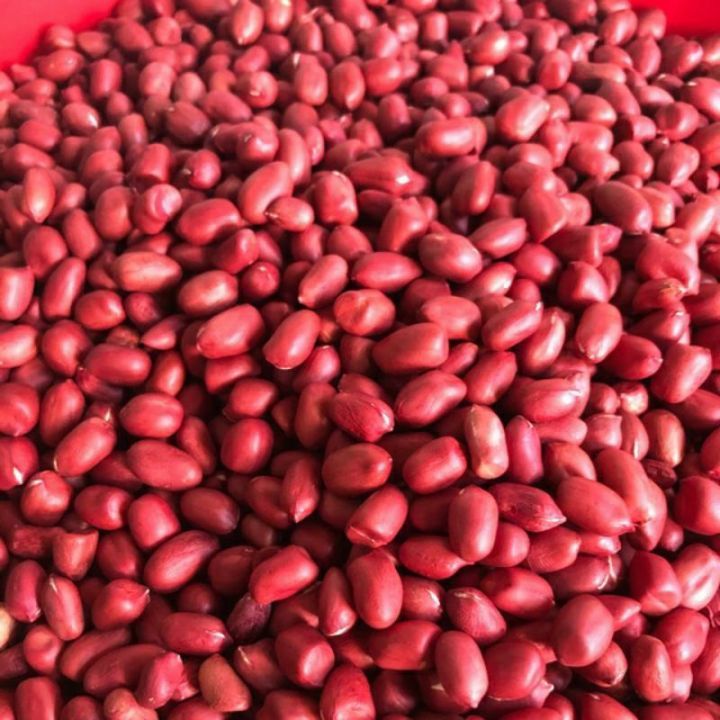 Lạc đỏ (đậu phộng) sống mới thu hoạch - Hạt to đều - Thơm ngậy - 1kg - [GIÁ TỐT NHẤT]