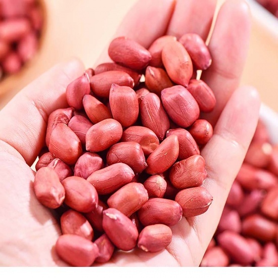 Lạc đỏ (đậu phộng) sống mới thu hoạch - Hạt to đều - Thơm ngậy - 1kg - [GIÁ TỐT NHẤT]
