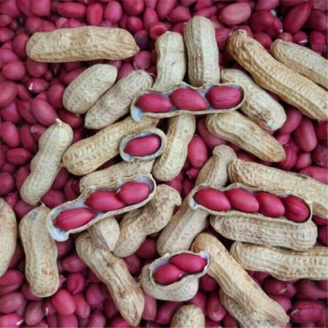 Lạc đỏ (đậu phộng) sống mới thu hoạch - Hạt to đều - Thơm ngậy - 1kg - [GIÁ TỐT NHẤT]