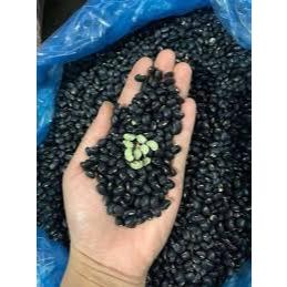 Đỗ đen ruột xanh sống, đỗ đen xanh lòng (đậu đen ruột xanh) - Hạt to đều - Bở - Thơm ngon - Bùi ngậy [GIÁ TỐT NHẤT]