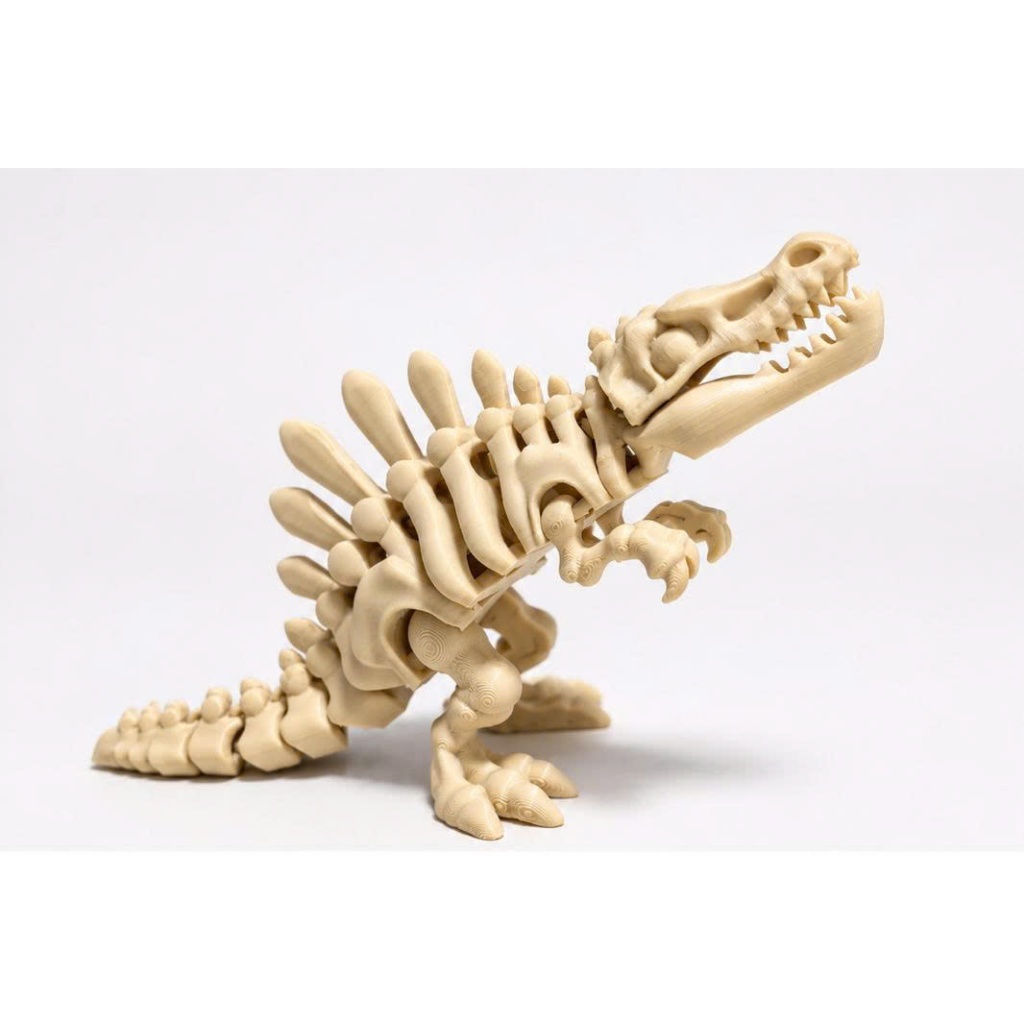 Mô hình bộ xương Khủng Long 3D dùng để Trang Trí tiểu cảnh thủy sinh, Chuồng Rùa và Bò Sát