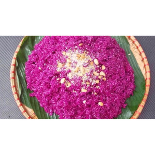 Chậu cây lá cẩm thái- tạo màu tím tự nhiên