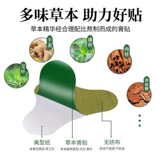 Hộp 12 Miếng Dán Ngải Cứu Vai Gáy Giảm Đau Cổ Vai Gáy, Thải Độc
