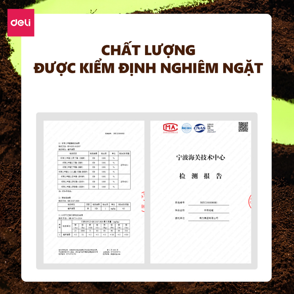 Bút Chì Gỗ 2B HB Deli Nusign NS684/NS743 Lõi Đậm Khó Gãy Dễ Gọt Viết Êm Tay Cho Học Sinh Dân Văn Phòng Màu Matcha Socola