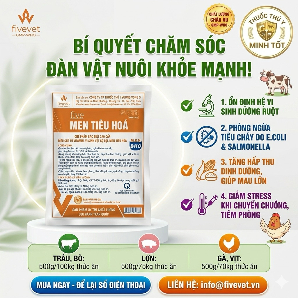 men tiêu hoá