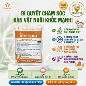 men tiêu hoá