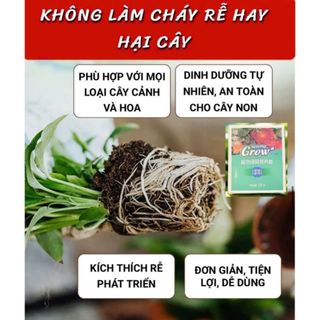 Homee.cok (Mua 2 tặng 1) Phân Bón Que Chậm Tan 90 Ngày Cho Cây Cảnh, Hoa Kiểng, Hoa Hồng - Dinh Dưỡng Dạng Que