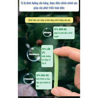 Homee.cok (Mua 2 tặng 1) Phân Bón Que Chậm Tan 90 Ngày Cho Cây Cảnh, Hoa Kiểng, Hoa Hồng - Dinh Dưỡng Dạng Que
