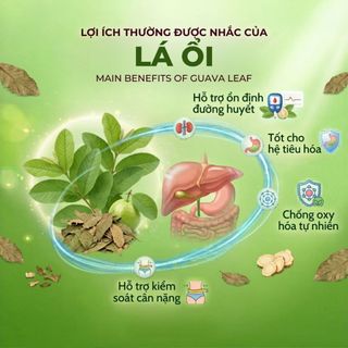 Trà Lá Ổi Túi Lọc AMMU Thảo Mộc Tự Nhiên Dễ Uống Dùng Hằng Ngày Hộp 20 Túi