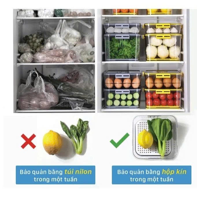 Hộp Nhựa Đựng Thực Phẩm Có Tay Cầm Đáy Tách Nước Để Tủ Lạnh An Toàn, Tiện Lợi, Hộp Bảo Quản Rau Củ Tươi Ngon
