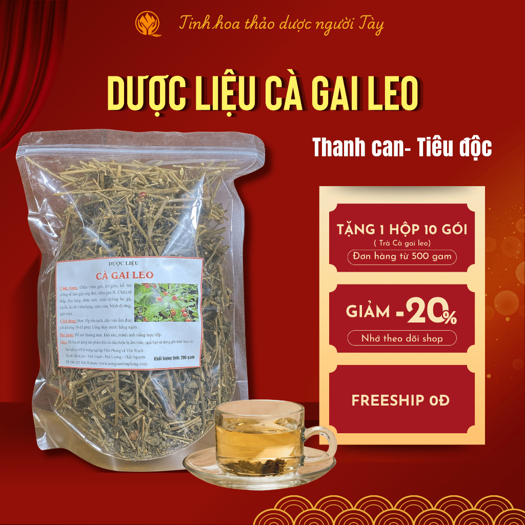 Trà Cà gai leo sấy khô sao vàng - Giải độc, hạ men gan, làm mát gan, bảo vệ lá gan cho gia đình, thảo dược sạch
