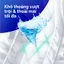 Tã dán/ quần người lớn Confidence siêu thấm hút size M-L/ L - XL