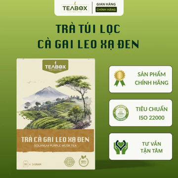 Trà Cà Gai Leo Xạ Đen TEABOX Hộp 30 Túi Lọc Tem Chỉ x 3 Gram Tiêu Chuẩn ISO 22000